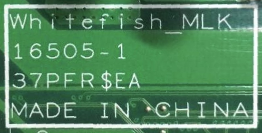 Whitefish_MLK 16505-1.png