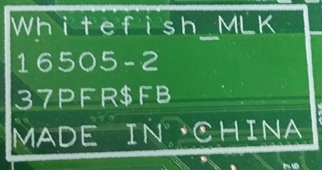 Whitefish_MLK 16505-2.png