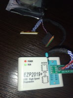 EZP2019+.jpg