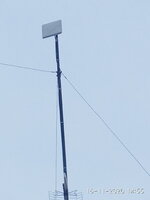 IMG_20201116_145558.jpg