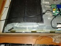 IMG_20260124_170357.jpg