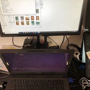 Asus g73sw - Working on VGA